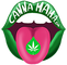 Cbdvisiems.lt