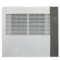Oro sausintuvas Ecor Pro D1100