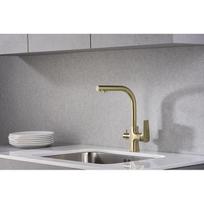Virtuvinis maišytuvas su jungtimi filtrui Blue Water Tivoli 55901730615975, bronza