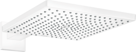 Dušo galva su laikikliu Hansgrohe Raindance E 26238700