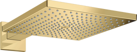 Dušo galva su laikikliu Hansgrohe Raindance E 26238990