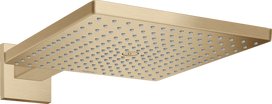 Dušo galva su laikikliu Hansgrohe Raindance E 26238140