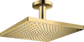 Dušo galva su jungtimi į lubas Hansgrohe Raindance E 26250990