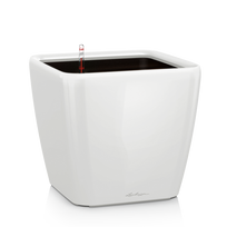Vazonas su savaiminio drėkinimo sistema LECHUZA Quadro Premium 35 White, 16160