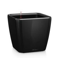 Vazonas su savaiminio drėkinimo sistema LECHUZA Quadro Premium 43 Black, 16189