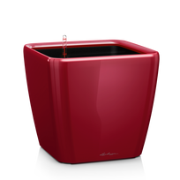 Vazonas su savaiminio drėkinimo sistema LECHUZA Quadro Premium 50 Scarlet Red, 16287