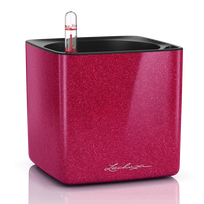Vazonas su savaiminio drėkinimo sistema LECHUZA Cube Glossy Kiss 14 cherry pie, 13514