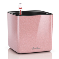 Vazonas su savaiminio drėkinimo sistema LECHUZA Cube Glossy Kiss 14 cream highgloss, 13515