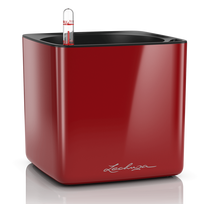 Vazonas su savaiminio drėkinimo sistema LECHUZA Cube Glossy 16 scarlet red, 13522