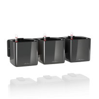Sieninių vazonų rinkinys Lechuza Green Wall Home Kit Glossy charcoal, 13524