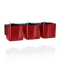 Sieninių vazonų rinkinys Lechuza Green Wall Home Kit Glossy scarlet red, 13525