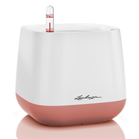 Vazonas su savaiminio drėkinimo sistema LECHUZA Yula white/pearl rose, 13892