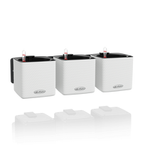 Sieninis vazonų rinkinys Lechuza Green Wall Home Kit White, 13398