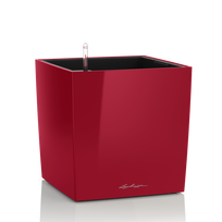 Vazonas su savaiminio drėkinimo sistema LECHUZA Cube Premium 40 Scarlet, 16367