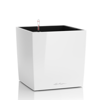 Vazonas su savaiminio drėkinimo sistema LECHUZA Cube Premium 50 White, 16560