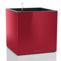 Vazonas su savaiminio drėkinimo sistema LECHUZA Canto cube 40 scarlet red, 13756