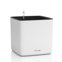 Vazonas su savaiminio drėkinimo sistema LECHUZA Cube Color LS white, 13480
