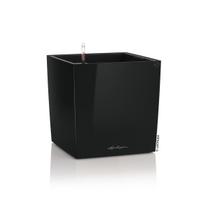 Vazonas su savaiminio drėkinimo sistema Lechuza Cube 50, 16569, black