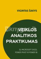 Veiklos analitikos praktikumas su Microsoft Excel Power Pivot ir Power BI - Vigintas Šakys