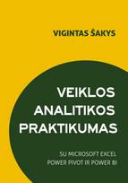 Veiklos analitikos praktikumas su Microsoft Excel Power Pivot ir Power BI - Vigintas Šakys