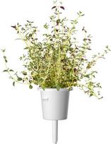 Click  and  Grow Plant Pod Steak Mix 9pcs