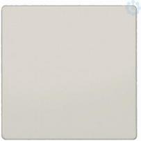 DELTA i-system titanium white key SYS, 55x 55 mm 5TC1301 | 4001869252254
