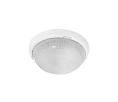 Lubinis lauko šviestuvas LADY 1xE27/100W/230V mėtinės IP44