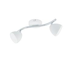 Eglo 96596 - LED akcentinis šviestuvas CALVOS 2xLED/6W/230V