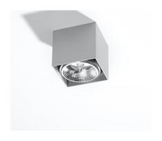 Kryptinis šviestuvas BLAKE 1xGU10/40W/230V