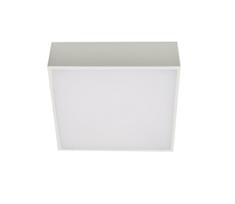 Azzardo AZ2781 - LED lubinis šviestuvas FALCO LED/12W/230V