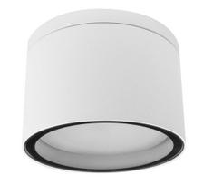 Palnas 66003481 - Lauko lubinis šviestuvas ARON 1xGX53/15W/230V IP54