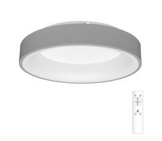 Ecolite WMKL01R-40W/LED-SED - LED Reguliuojamas šviestuvas NEST LED/40W/230V + VP