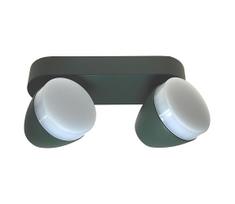 LED Lubų šviestuvas SURMUR 2xLED / 6W / 230V žalia