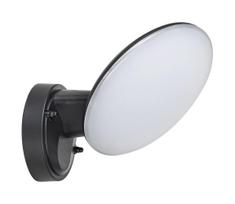 Rabalux 8134 - LED sieninis lauko šviestuvas VARNA LED/12W/230V IP54