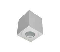 Lauko prožektorius SARA 1xGU10 / 30W / 230V IP54 baltas