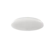 LED lubinis šviestuvas LED/45W/230V 3000K/4000K/6400K