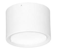 LED Lubinis šviestuvas LED/16W/230V baltas d. 12 cm