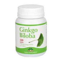 NikSen ginkgo biloba (dviskiautis ginkmedis) 120 mg, 120 tablečių