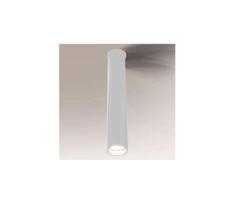 Shilo 7746 - Vonios lubinis šviestuvas YABU 1xGU10-MR11/15W/230V IP44 baltas