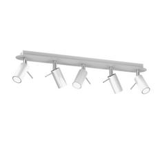 Akcentinis šviestuvas PRESTON 5xGU10/MR11/40W/230V baltas/chromo