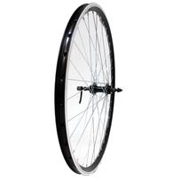 Galinis ratas 28/29" Dynamic, v-brake, 36H, užsukamas žv. blok., QR