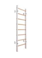 Gimnastikos sienelė BenchK 200W (balta)
