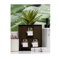 La Sultane de Saba Aloe Vera Veido priežiūros rinkinys