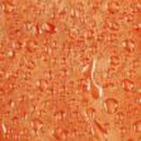 Užuolaidos WATER ORANGE 627-85