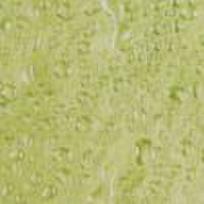 Užuolaidos WATER GREEN 627-82