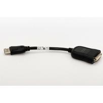 Foxconn DisplayPort  į DVI-D konverterio laidas