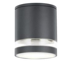 Rabalux 7817 - Lauko akcentinis šviestuvas ZOMBOR 1xGU10/35W/230V apvalus IP54