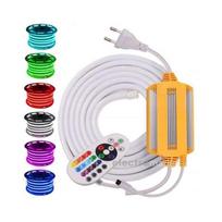 Nuotolinio valdymo pultas juostos LED RGB NEON