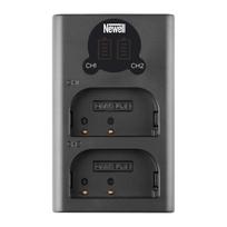 Newell DL-USB-C dual channel charger for DMW-BLF19