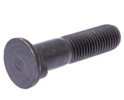 Varžtas M20x85 5006-2085